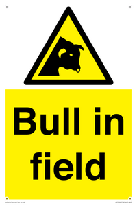 Bull in field